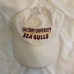 Salisbury University Baseball Hat